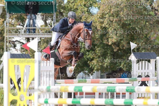 SPANO_KING_GIO CAV 2011_(0604) SS3_1856.jpg